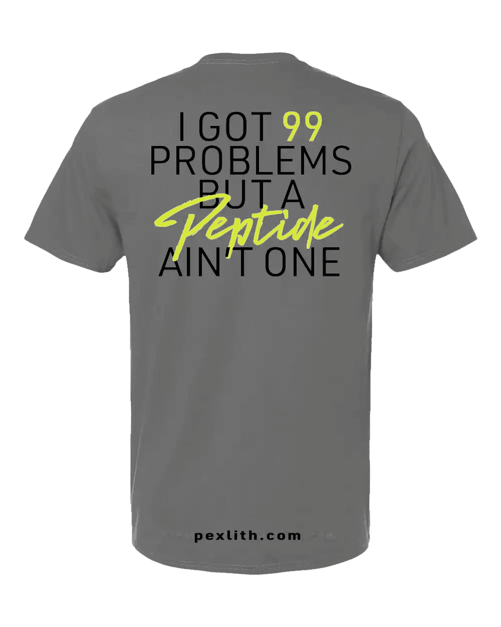 99 Problems T-Shirt gray
